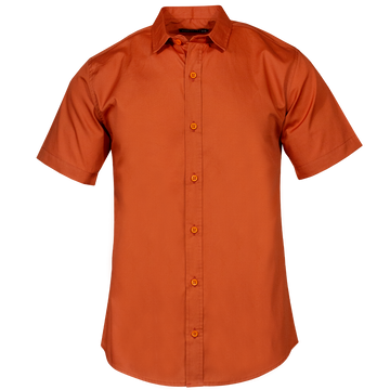 Camisa Perla Shedron